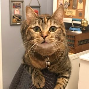 Meet your Posher, Tiffaney